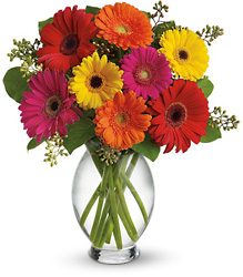 Teleflora's Gerbera Brights from Boulevard Florist Wholesale Market